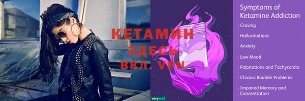 твердый Инта