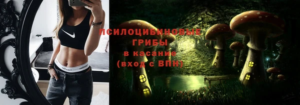 гидропоника Инсар