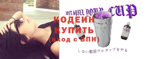 не бодяженный Иннополис