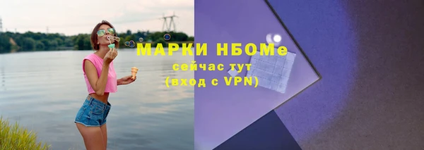 твердый Инта