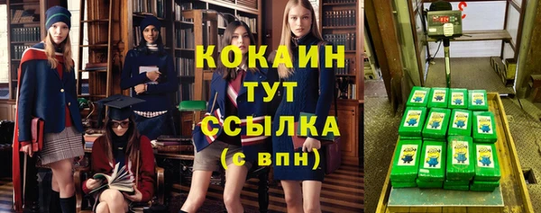 твердый Инта