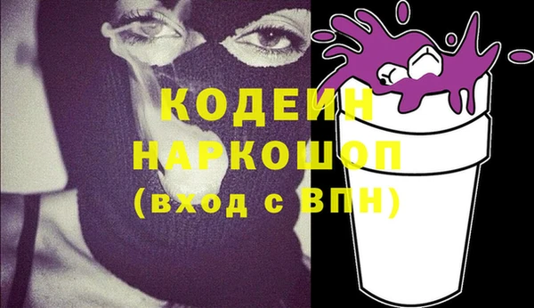 твердый Инта