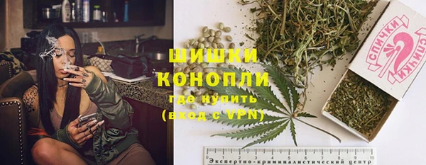 твердый Инта