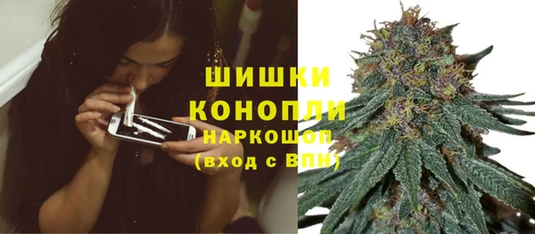 твердый Инта