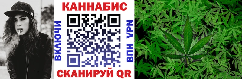 Конопля OG Kush Багратионовск